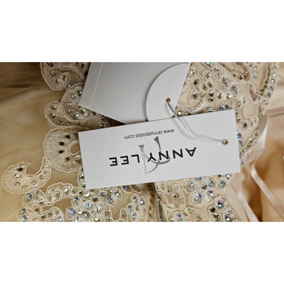 NWT Anny Lee Tan Sleeveless V Neck A Line Embroidered Zip Women's Dress Size S - Picture 13 of 14